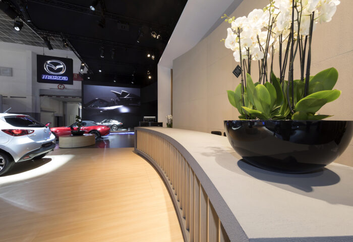 Interieur standenbouw Autosalon 2017 Brussel Mazda 8