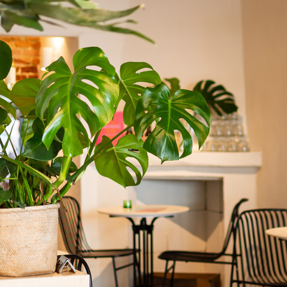 Horeca-inrichting Brussel - Interieur restaurant - Totaalontwerp Froyen & Zeitler