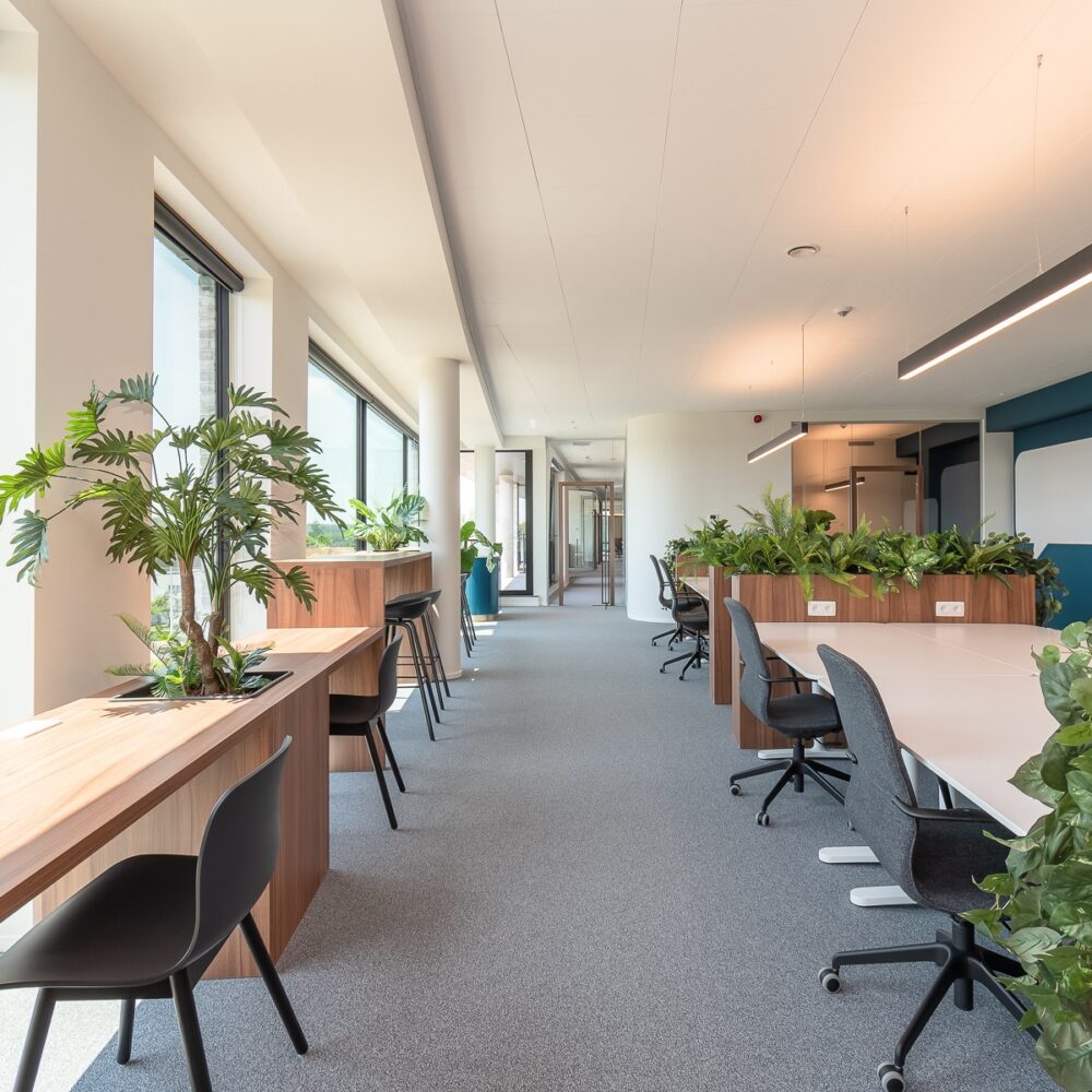 Kantoorinrichting Leuven - Inrichting bureau Acumen - Interieurarchitecten - Froyen & Zeitler
