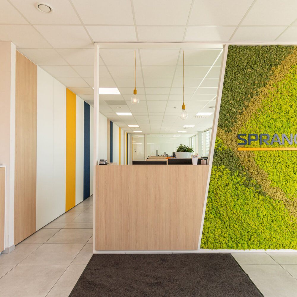 kantoorinrichting sprangers - froyen&zeitler